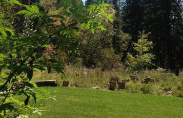 Cottage On The Stream Sundance, Utah - Foto 43