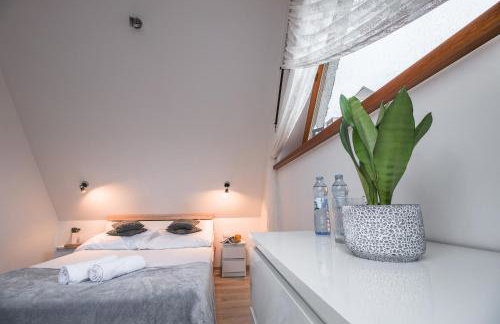 Szara Gora - Foto 24