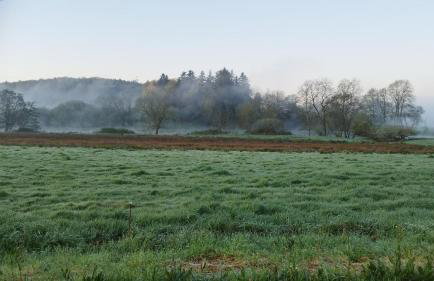 Gîte Lann Er Viline - Foto 41