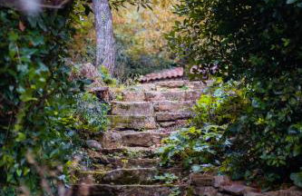 Maison Bleu Avril - Gard - Foto 24