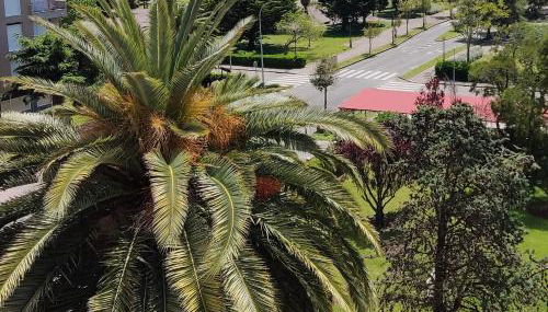 Katt y el mar - Foto 4