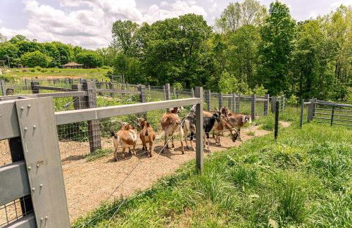 Historic Converted Barn Loft at Sobremesa Farm - Foto 18