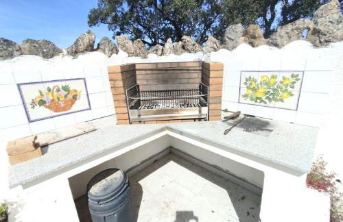 Quinta Azul - Foto 70