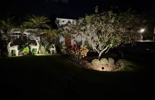 Orchid House - Foto 1