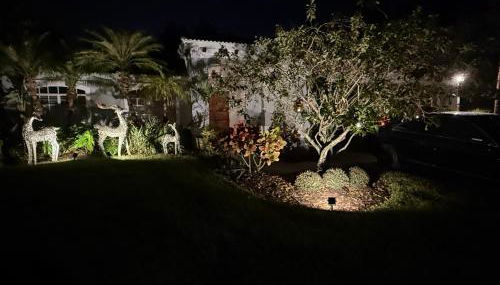 Orchid House - Foto 1