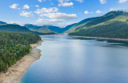 Hawthorn Cabin - Foto 60