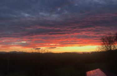 Ferienwohnung mit Alpenblick - Foto 22