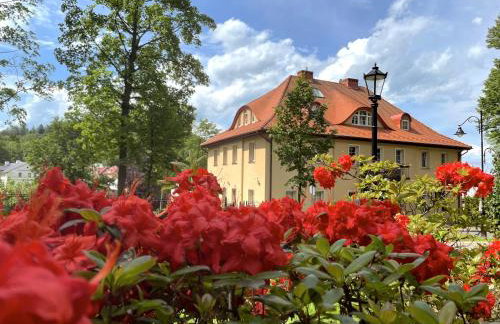 Rezydencja Grawert Boutique & Spa - Foto 35