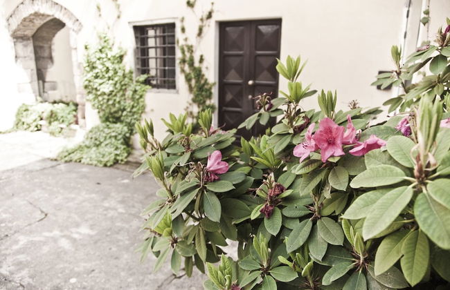 Montelucci Country Resort & Agriturismo di Charme - Foto 56