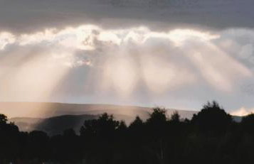 Topolowa Miszkowice - Foto 7