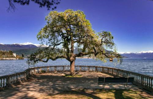 La casa di Susanna - Foto 15