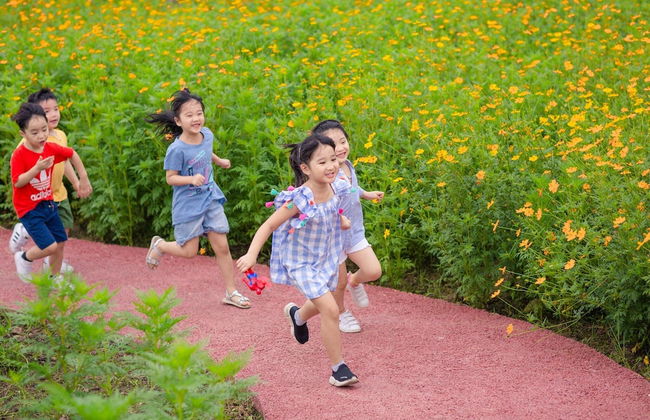 Friendly House QMP - Ecopark - Photo 35