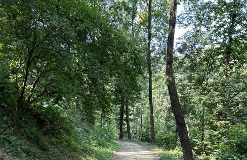 Il Giardino di Berbech Città Alta - Foto 27