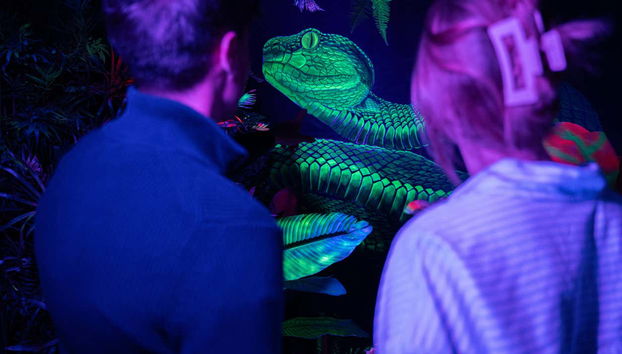 Profitez de l'expérience Ikono dans la salle des néons