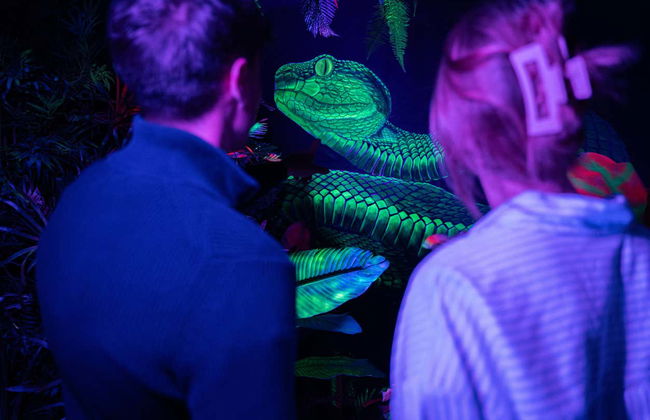 Ikono Madrid Entrance Ticket - Photo 4