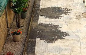 CMG Studio 002 Petit Bois Place Ducale - Foto 40