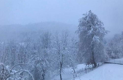 Alta Valle Intelvi LA MARINELLA - Foto 33