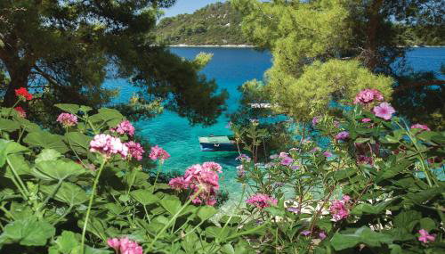 Pine Tree Apartment Zanetic - Photo 3