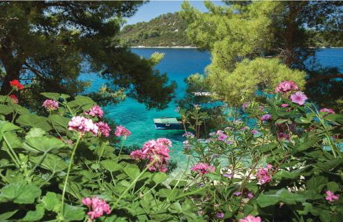 Pine Tree Apartment Zanetic - Photo 3