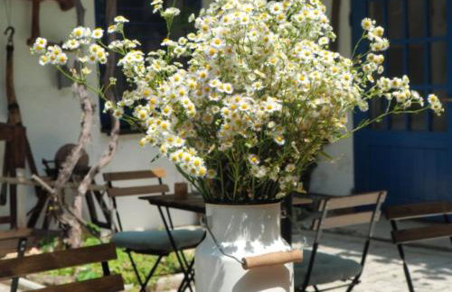 Apartments & Rooms Latin - Photo 35