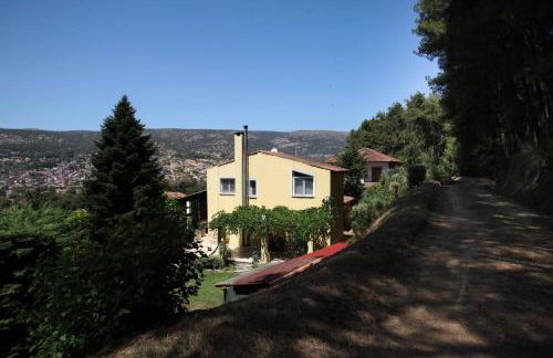 Six Steps From The Forest - Photo 31