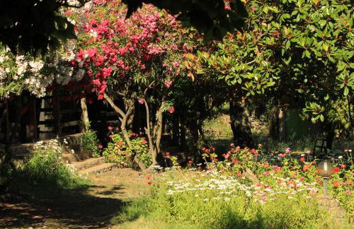 Résidence Marina Livia - Foto 12