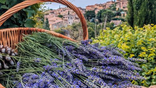 Le Clos de la Croix du Serre - Foto 4