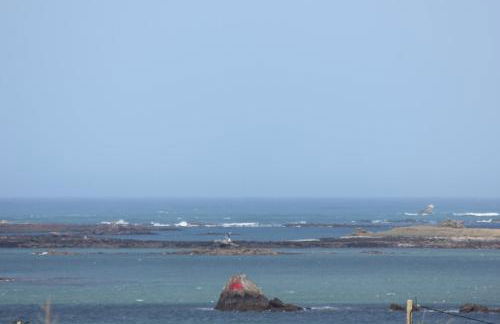 Le jardin des dunes - Foto 33