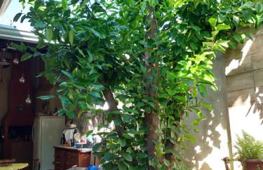 Flat Aconchego - Foto 18