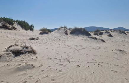 Casa vacanza Mamaioa - Foto 17