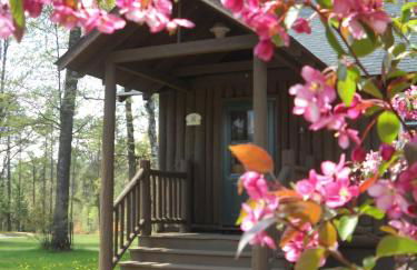 Cedaroma private Home in Resort to relax in the northwoods - Photo 28