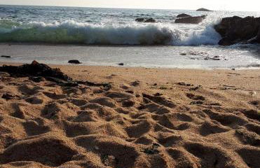 Casa do Vale - Moradia-Rio Minho-Seixas-Caminha - Casa de férias completa com piscina - Foto 67