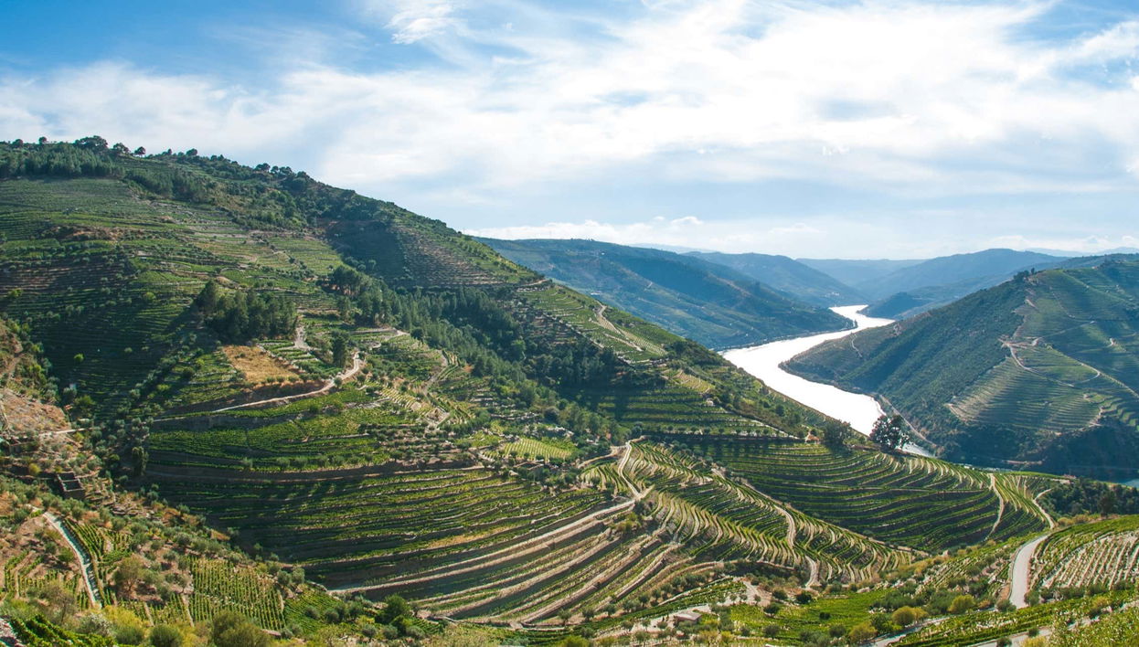 Tour pela região do Douro