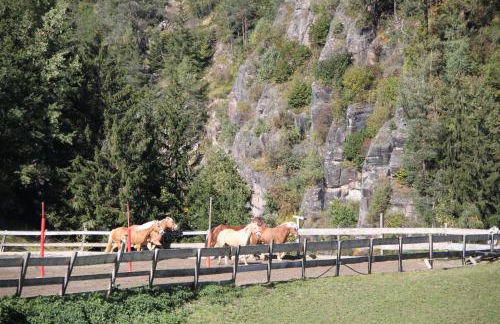 Alpin Sport - Foto 47