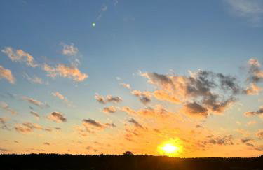 Domek lubiana180 WABI SABI w lesie jacuzzi sauna kominek - drewno w cenie pobytu - nad jeziorem Kaszuby pieski tylko do 10kg za dodatkową opłatą - Foto 70