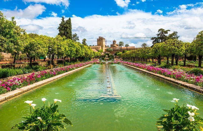 Excursión a Córdoba - Foto 4