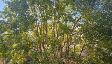 Casa Aida - Foto 2, Garden view