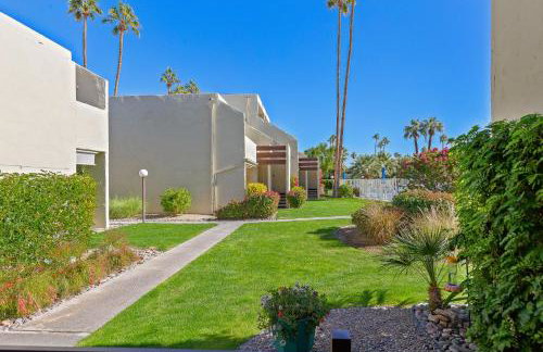 Smoketree Original - Foto 39