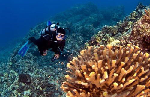 Milowai 302 · MIL 302 Oceanfront 2BD w Ocean Views Whale Watch - Foto 87