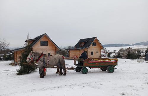 Domki Osada Bożków z jacuzzi - Foto 5