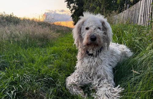 Familyroom 6 P Free WiFi Gemeinschaftsbad - Foto 14