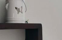 Luna Normanna - Foto 29