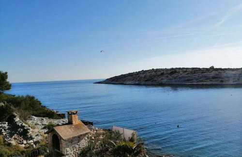 House Dragi - Foto 16