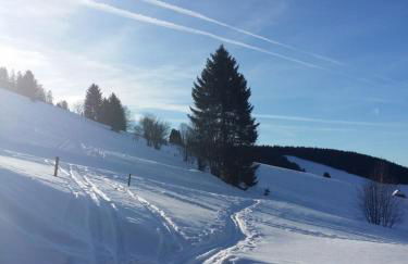 Apartment Monte e Mare -Ferienidyll in Todtnauberg - Foto 28