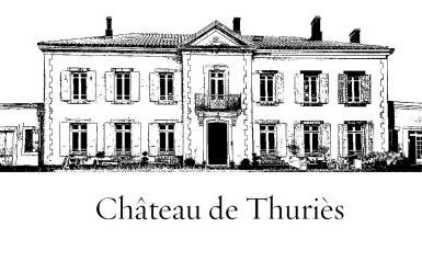 Chateau de Thuries - Foto 19