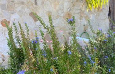 V Apartments - Foto 12