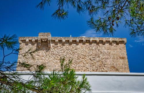 Torre Casciani - Foto 70