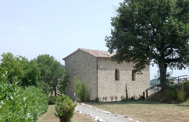 Bellavista farm of Quercini Maurizio - Foto 12