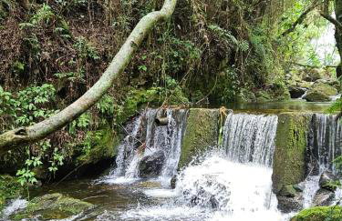 Chalé da Cachoeira - Cachoeira particular dentro da hospedagem - Foto 6
