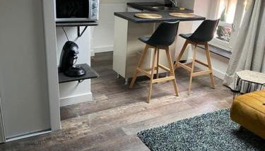 Studio cocooning et refait à neuf. Lyon 06 - Foto 4